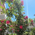 Villa-andromeda Lejlighed *