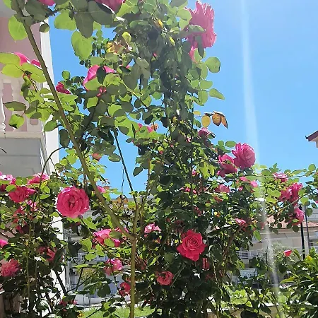 Villa-andromeda 公寓 *