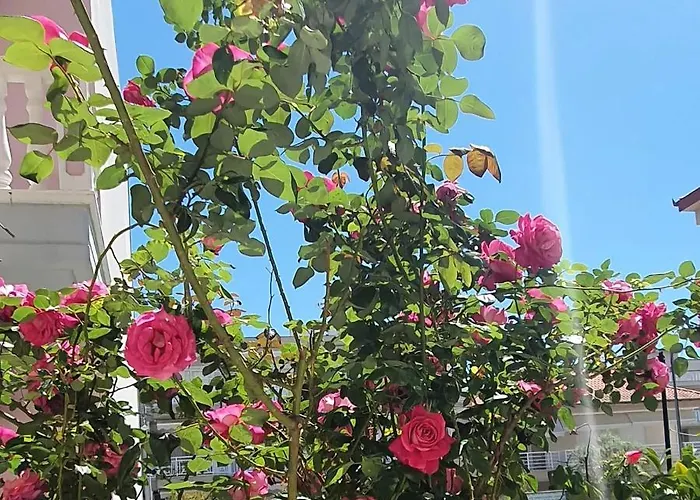 Villa-andromeda דירה *
